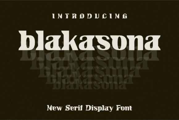 Blakasona: A Polished Serif Font for Real Small Business Branding